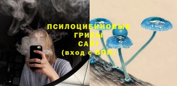 прущие грибы Бородино