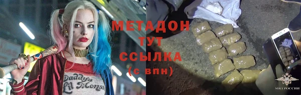 прущие грибы Бородино