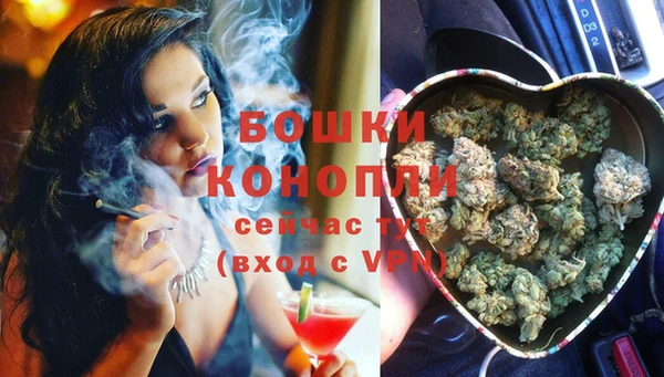 прущие грибы Бородино