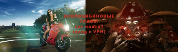 прущие грибы Бородино