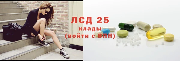 прущие грибы Бородино