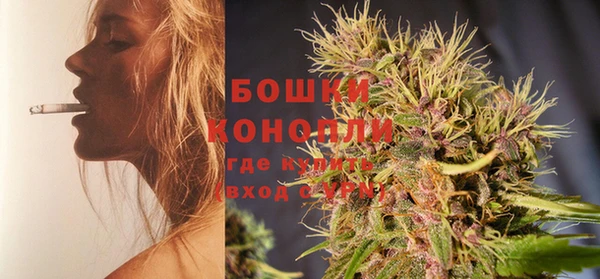 прущие грибы Бородино