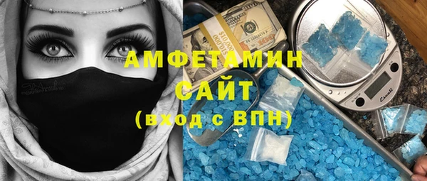 прущие грибы Бородино
