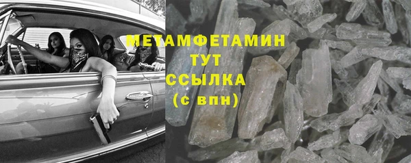 прущие грибы Бородино
