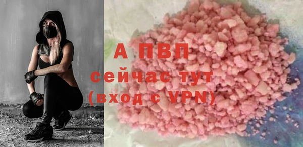 прущие грибы Бородино