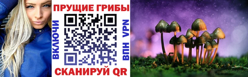 Псилоцибиновые грибы Psilocybine cubensis  Купить где  Кизел 